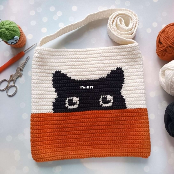 Black cat square bag.jpg