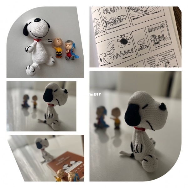 IMG_4721.jpeg