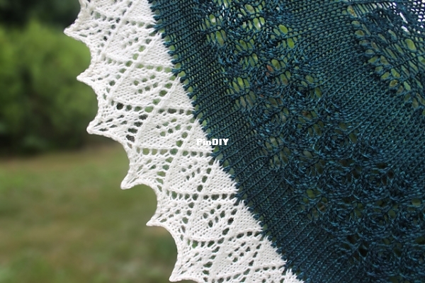 Shawl