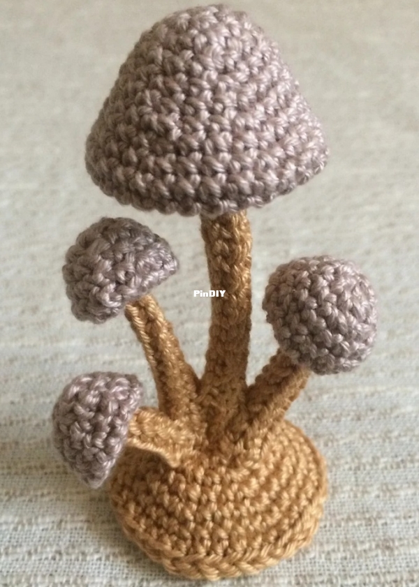favmushrooms2.jpg