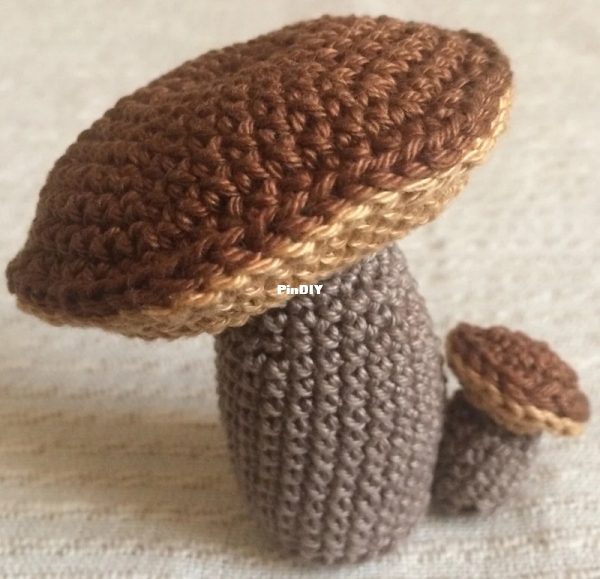 favmushrooms4.jpg