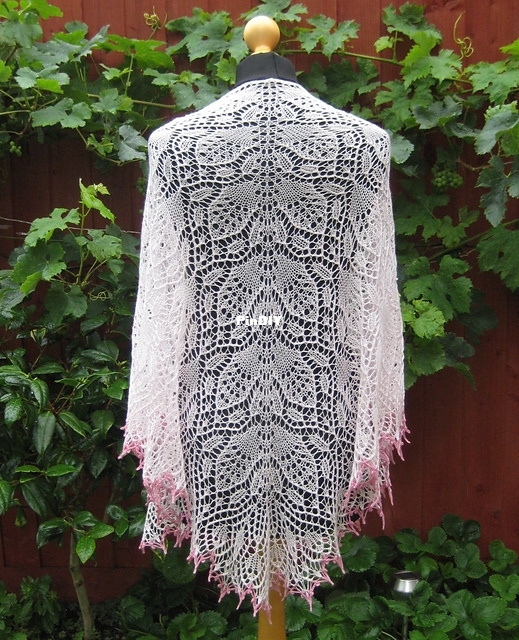 Shawl