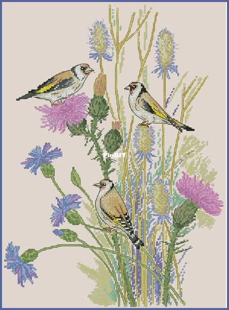 Goldfinches_Anastasia_Berg.jpg