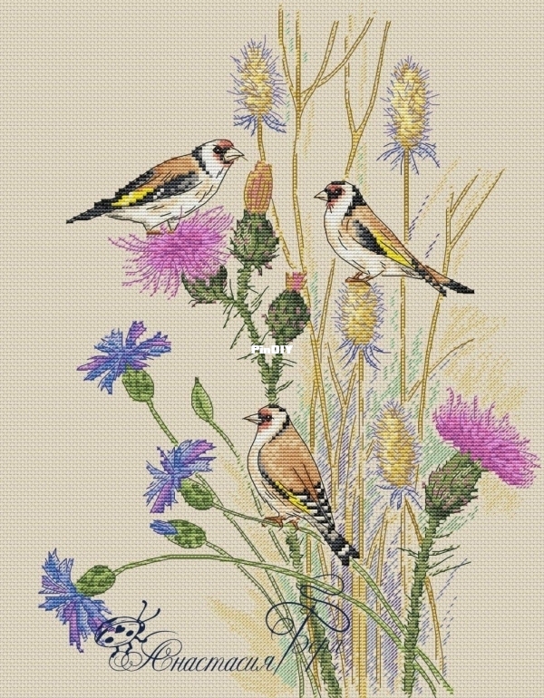 Goldfinches by Anastasia Berg orig.jpg