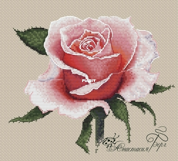Pink rose from LaFe by Anastasia Berg.jpg