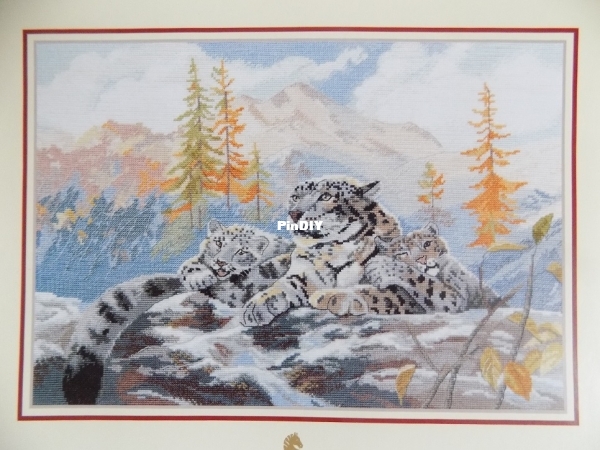 СНЕЖНЫЕ БАРСЫ 252-177 34.JPG