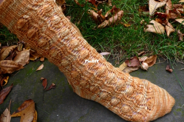 AcornSock.jpg