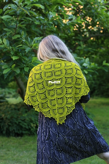 Shawl