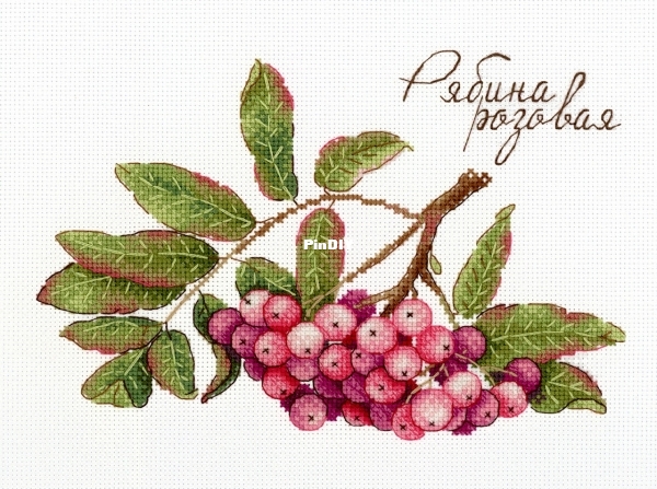 HB-693 Gifts of nature. Rowan pink.jpg