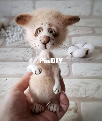 funny-cat-1.jpg