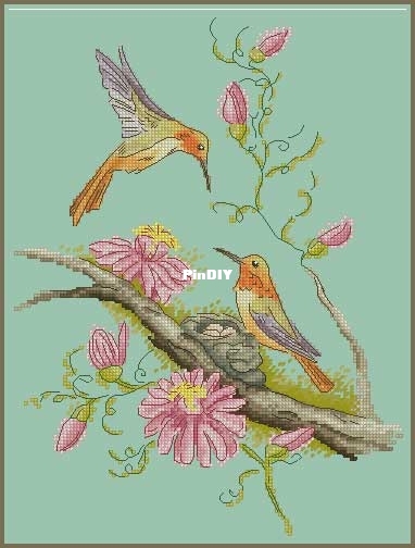 Hummingbird_Anastasia_Berg.jpg