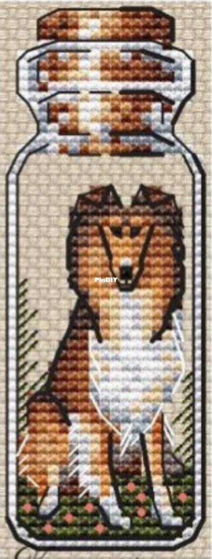 2024-11-24 19.21.35.jpg