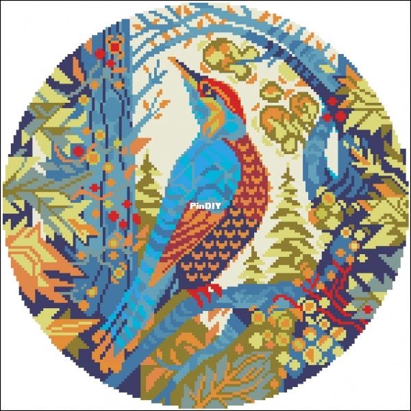 Woodpecker.jpg