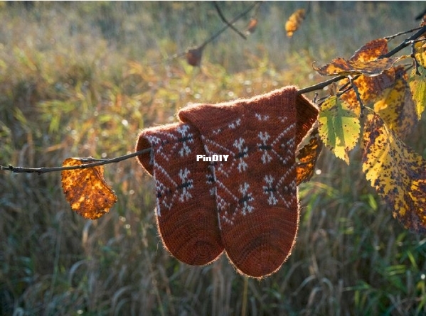 golden hour socks.jpg
