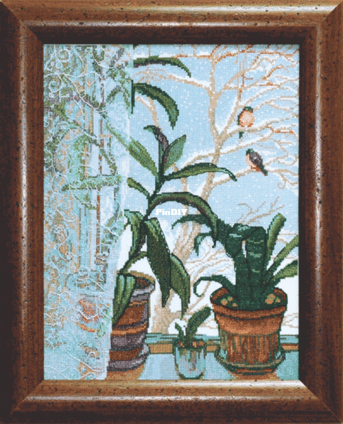 IMG_4723.GIF