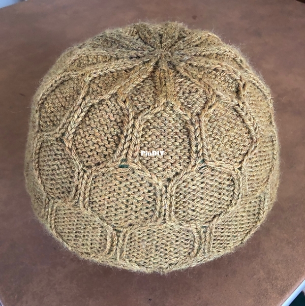 Beekeeper_Beanie_IMG_4950_medium2.jpg