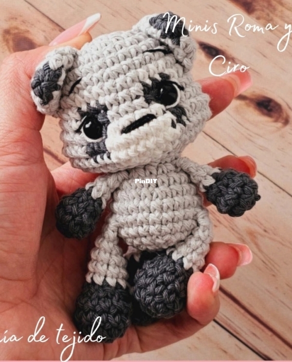 De Ensueños Crochet - MinisRoma y Ciro los mapaches.jpg