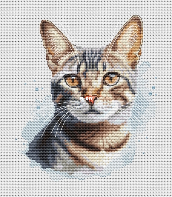Tebby.jpg