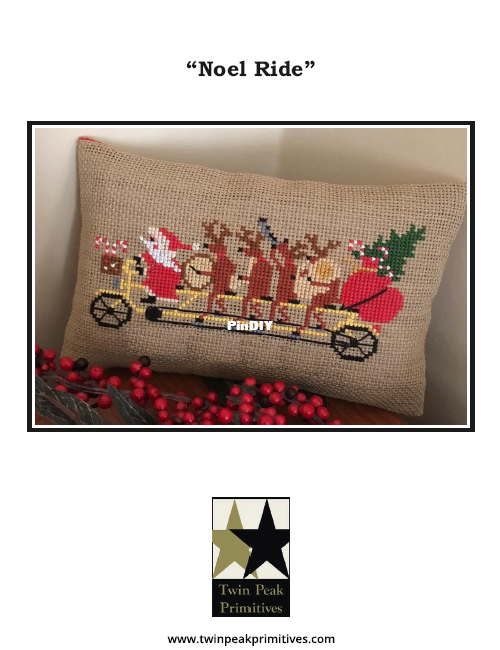 Noel Ride.png
