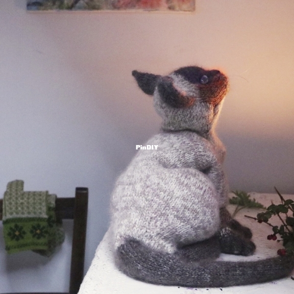 SIAMCAT13.jpg