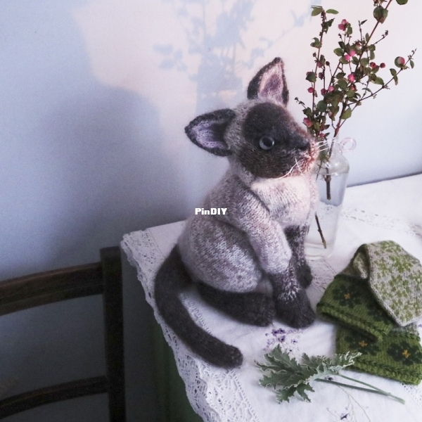 SIAMCAT16.jpg