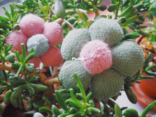 Puffy Petal PinkVerd2.jpg