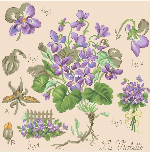 LBP_Etude_Botanique_à_la_Violette_by_Veronique_Enginger.jpg