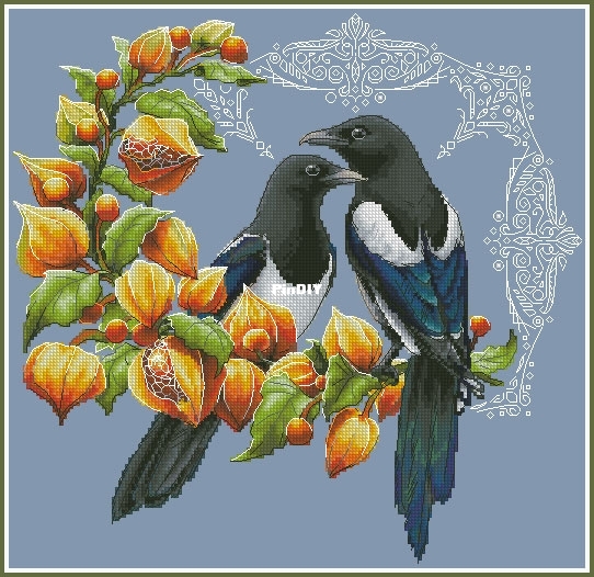 Magpies_Saverka-_Savera_Victoria_Kuznetsova.jpg