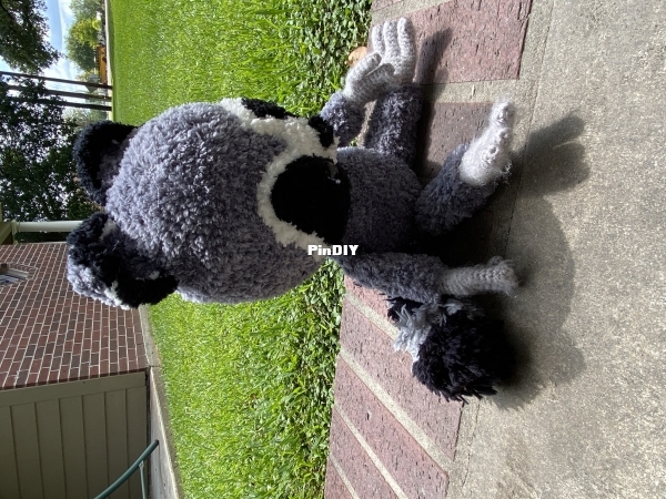 IMG_0531.jpeg