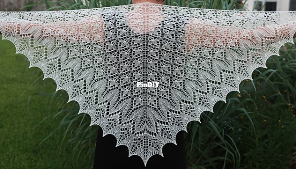 Shawl