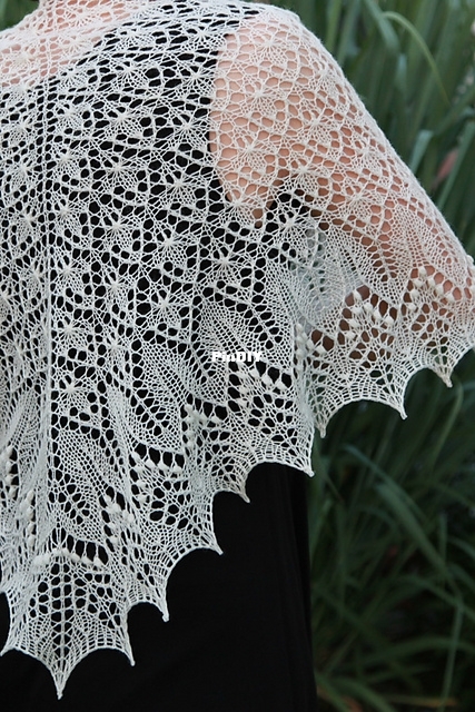 Shawl