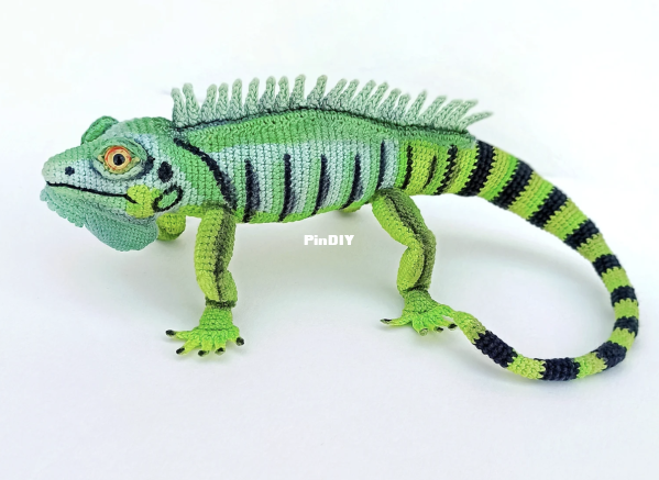 iguana3.png