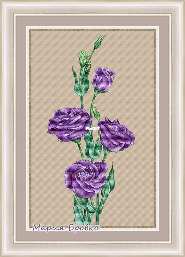 Eustoma.jpg