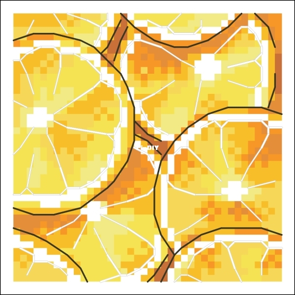 Juicy Orange.jpg