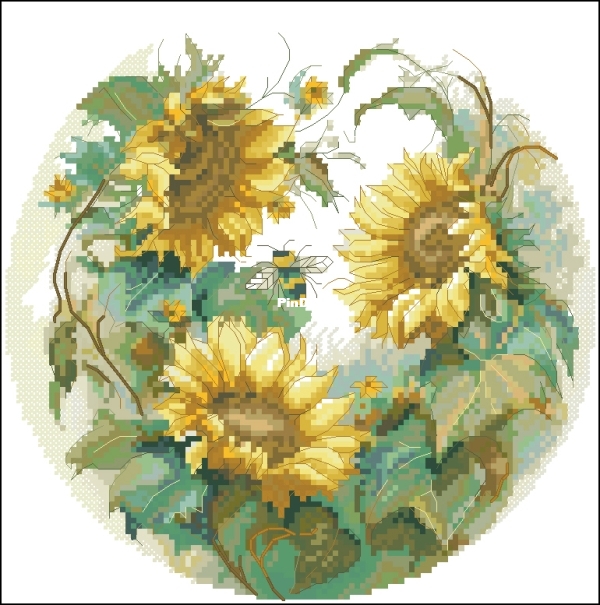Luca-S BC202 Sunflower-DMC.jpg