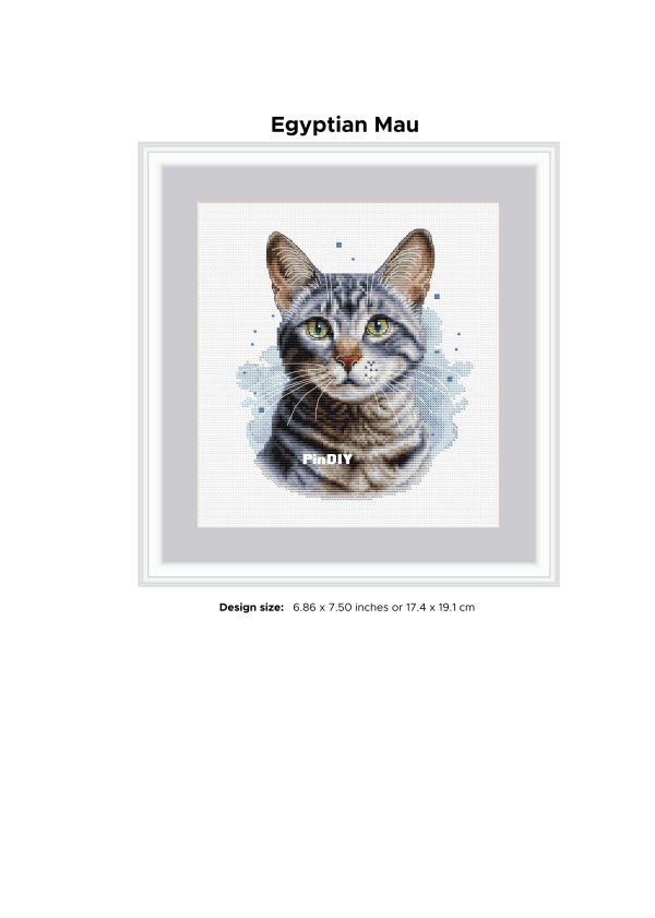 Egyptian Mau Cat_01.jpg
