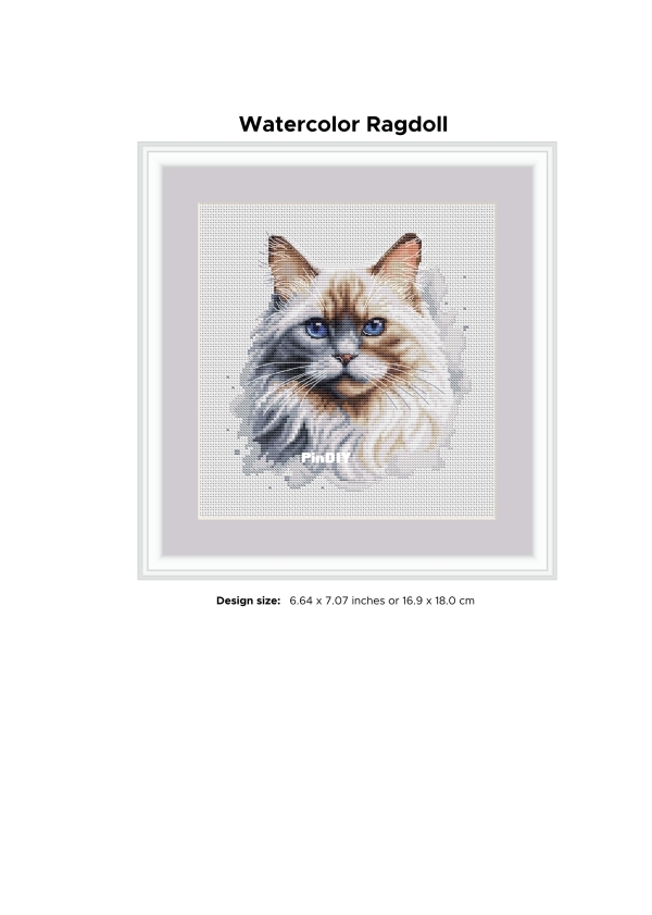 Watercolor Ragdoll_01.jpg