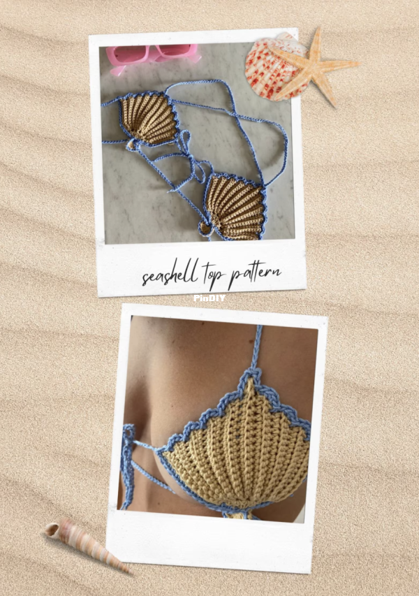 seashells.png