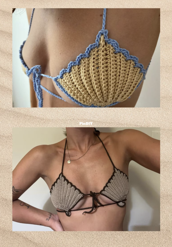 seashells1.png