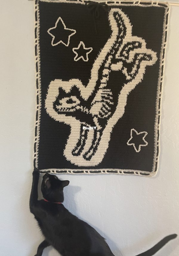 x-Ray kitty.png