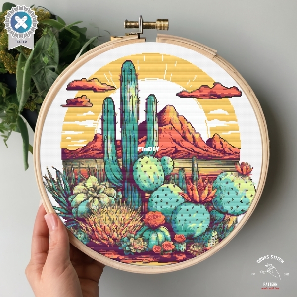 Sunrise in Desert Cactus