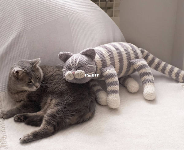 sleepingcat2.png