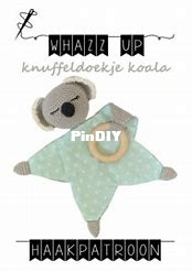 koala.jpeg