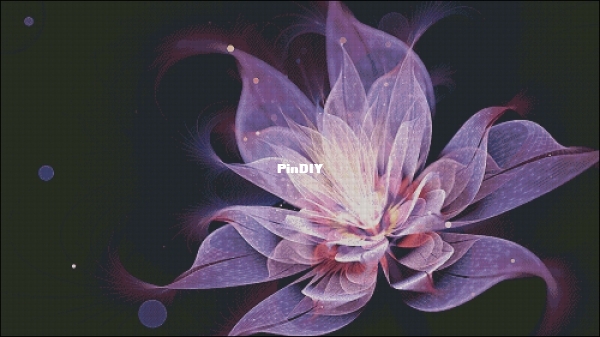PF080-无忧紫色荷花.jpg