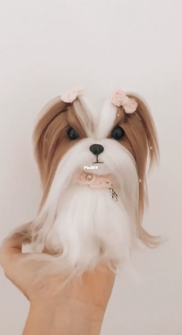 shisu.png