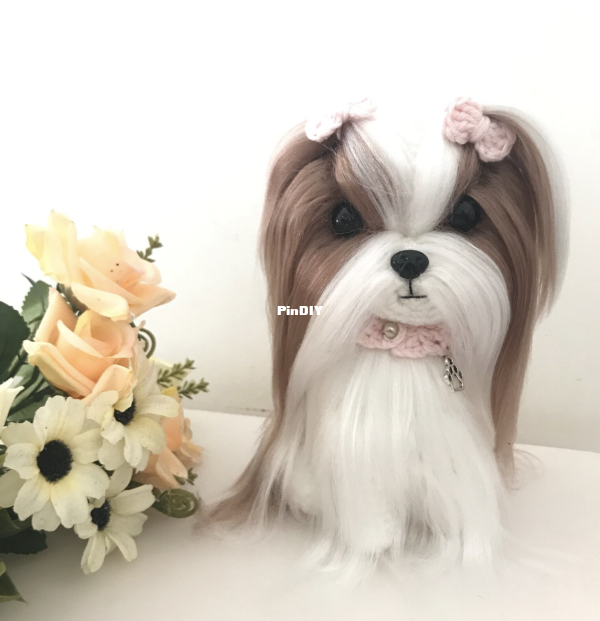 shihtzu.png