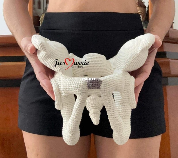 Jus Marrie Crochet - Jusmayre Rosa - Pelve feminina - Female pelvis - Português