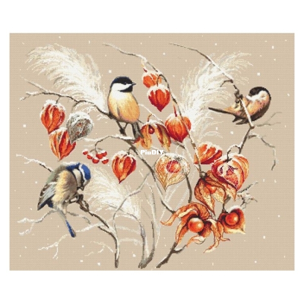 bird-paradise.jpg