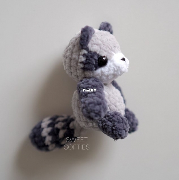 pocket racoon.jpg