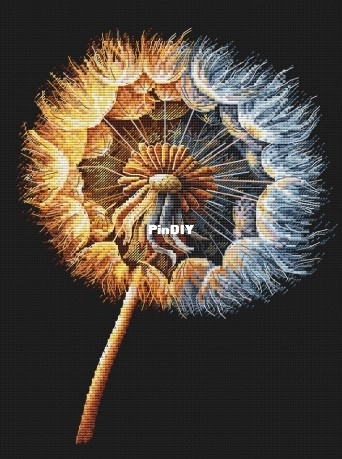 Dandelion by Anastasiia Yermakova.jpg